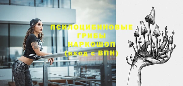стаф Абаза