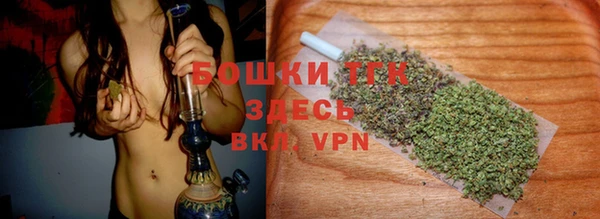 стаф Абаза