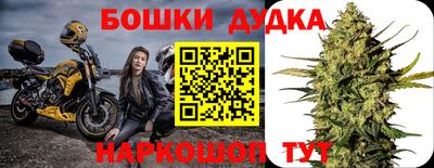 гидропоника Пугачёв