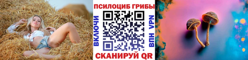 купить закладку  Алапаевск  kraken ТОР  Галлюциногенные грибы Magic Shrooms 